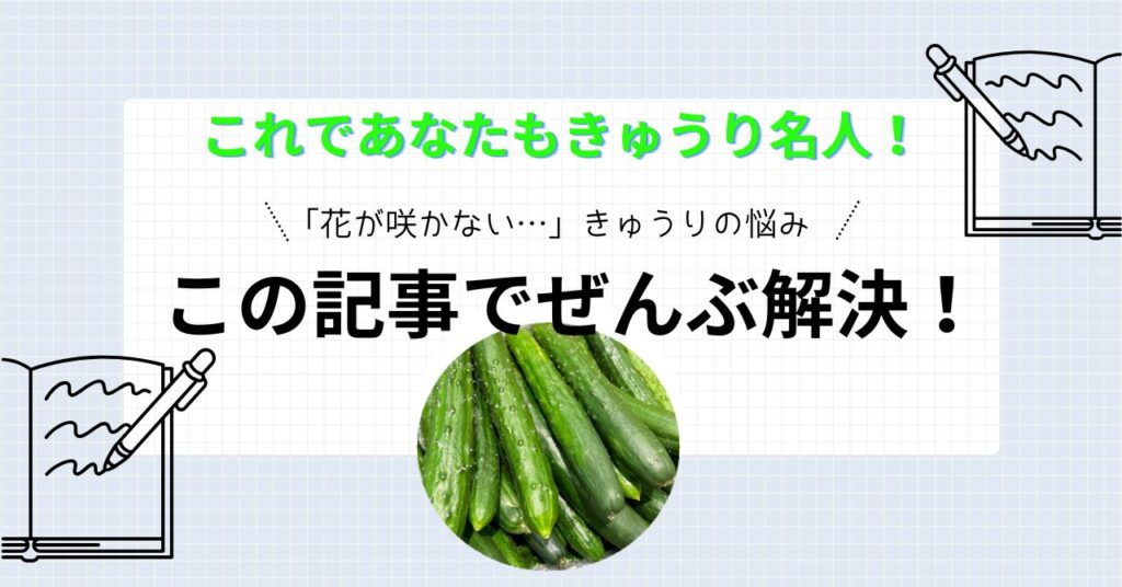 きゅうりの花が咲かない時の対処法は？開花のコツと雌花と雄花の特徴・実が大きくならない理由も解説